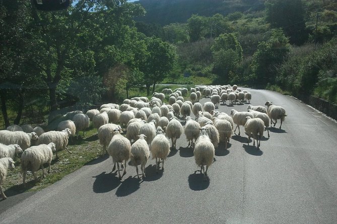 Sicilian Villages & Ricotta Tasting - Including Lunch From Cefalu - Tour Highlights
