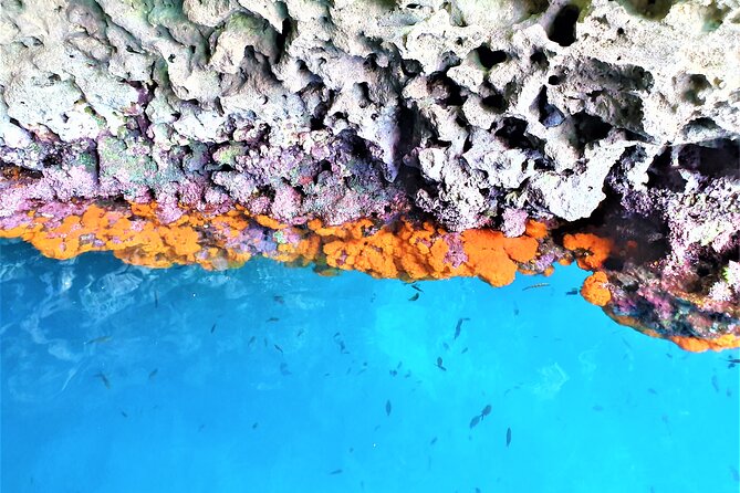 Sicilian Wine Tasting on the Boat in Taormina - Traveler Photos and Reviews