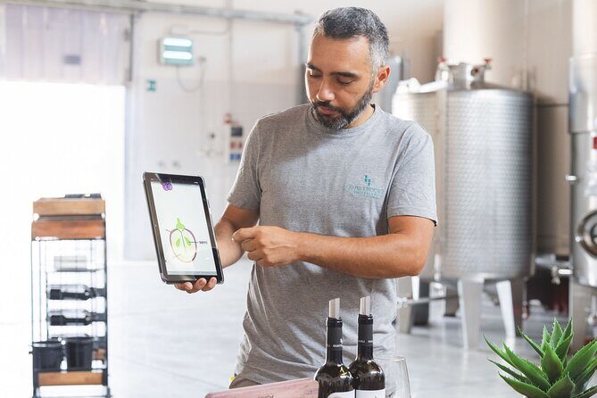 Sicilian Winery Experience in Alcamo - Good To Know