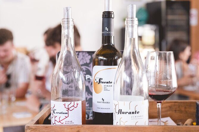 Sicilian Winery Experience in Alcamo - Final Thoughts