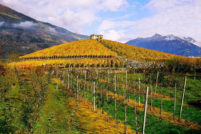 Sicily … A Love of a Lifetime - Review Breakdown Analysis