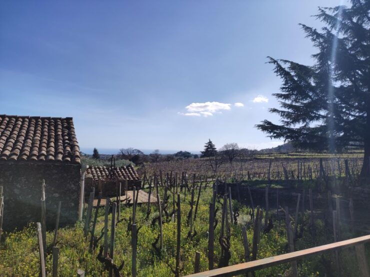 Sicily: Etna Volcano and Wine Tasting Tour - Good To Know