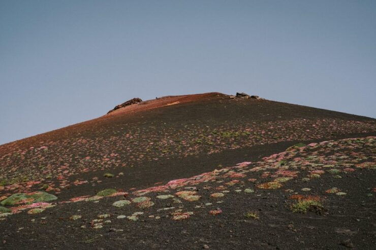 Sicily: Etna Volcano and Wine Tasting Tour - Tour Details