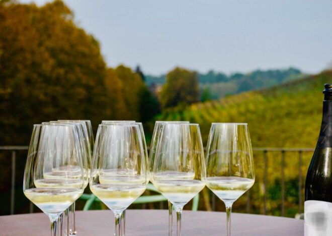Sicily: Etna Volcano and Wine Tasting Tour - Itinerary