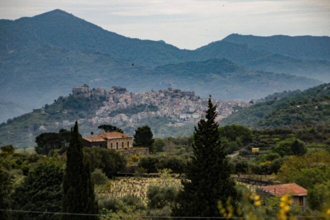 Sicily: Etna Wine Train Tour Experience, Wine Tasting - Customer Reviews