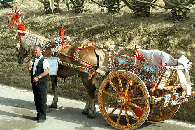 Sicily in One Memorable Full Day From Rome - Additional Information and Requirements