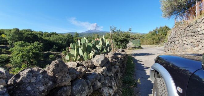 Sicily: Mount Etna 4x4 Jeep Tour With Lava Caves & Forests - Tour Description