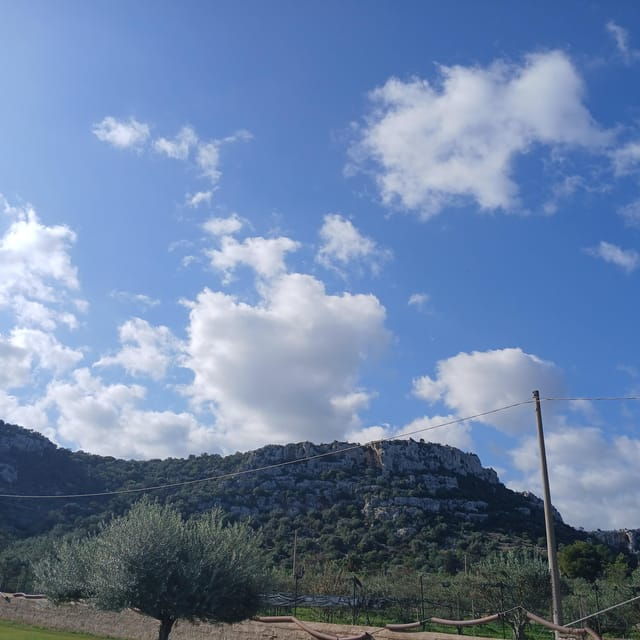 Sicily tour - Who Will Love This Tour?