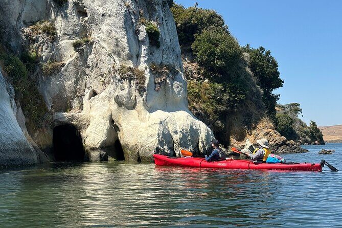 Sick Day Midweek Kayak Tour on Tomales Bay - A Detailed Look at the Kayak Tour