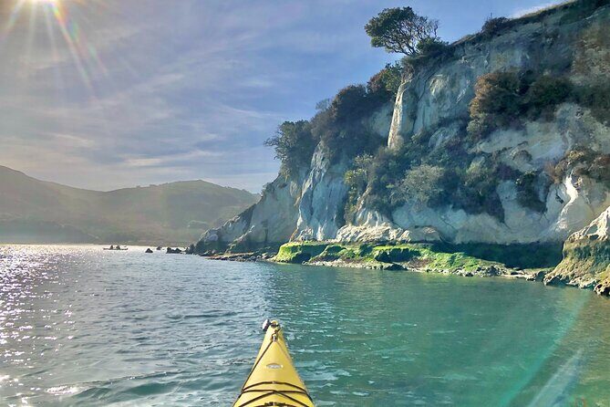 Sick Day Midweek Kayak Tour on Tomales Bay - Good To Know
