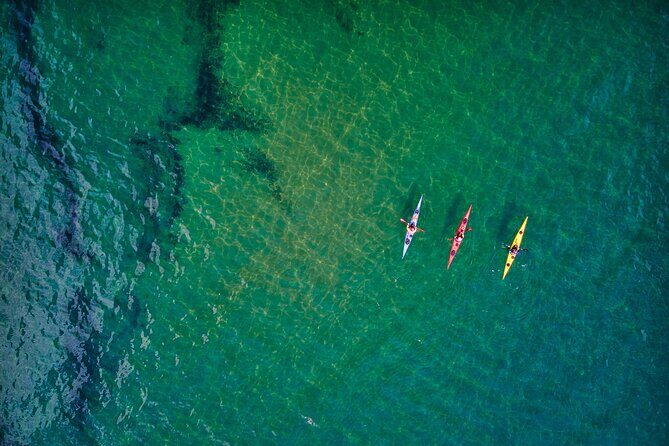Sick Day Midweek Kayak Tour on Tomales Bay - What to Expect on the Kayak Tour