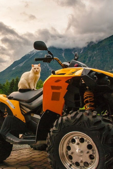 Side: 4x4 Off Road Quad Safari With Transfer - Participant Age Requirements