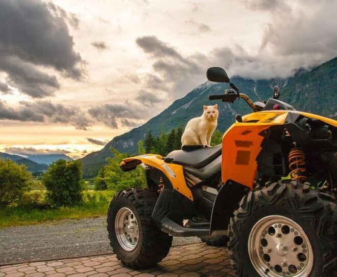 Side: 4x4 Off Road Quad Safari With Transfer - Customer Feedback and Ratings