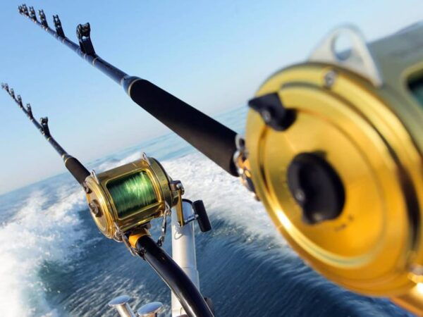 Side: A Fishing Tour for the Avid Anglers Soul - Customer Feedback and Ratings