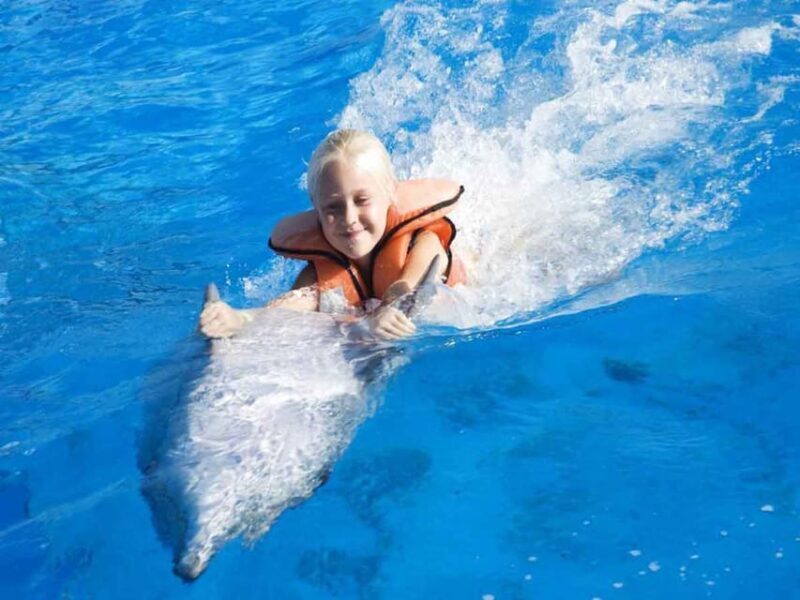 Side/Alanya: Swimming with Dolphins and Dolphin Show - FAQ