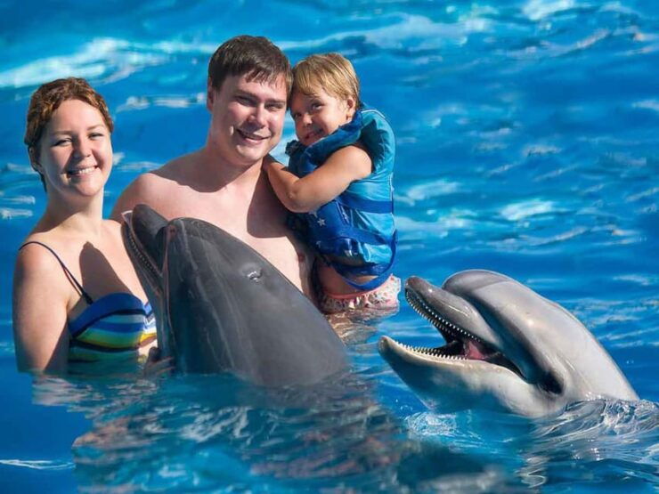 Side/Alanya: Swimming With Dolphins - Key Points