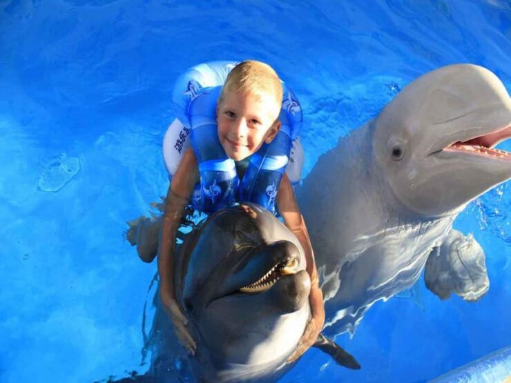Side/Alanya: Swimming With Dolphins - Interaction With Marine Mammals