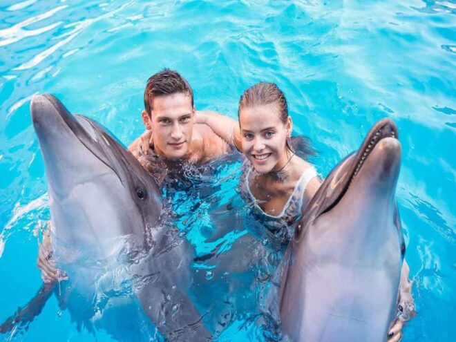 Side/Alanya: Swimming With Dolphins - Safety and Supervision