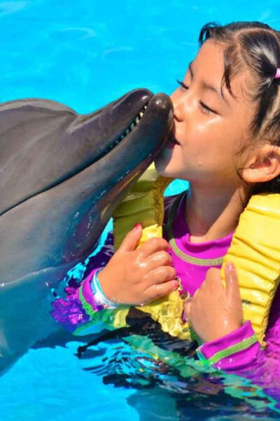 Side/Alanya: Swimming With Dolphins - Frequently Asked Questions