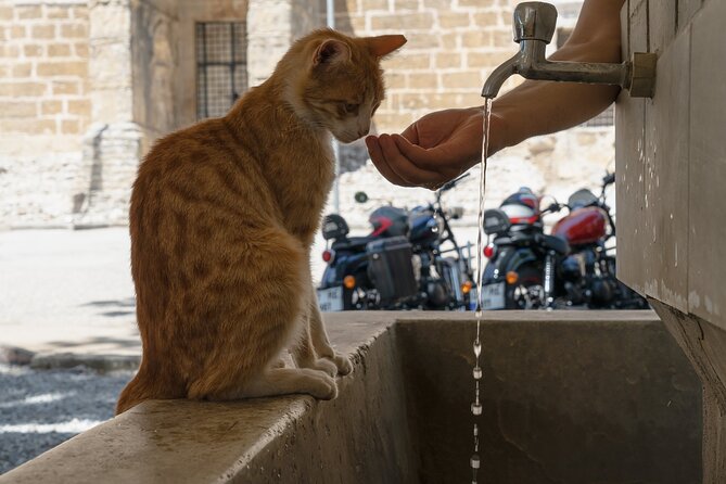 Side Antalya - Private Full Day Motorcycle Adventure Tour - Royal Enfield Meteor Motorcycle