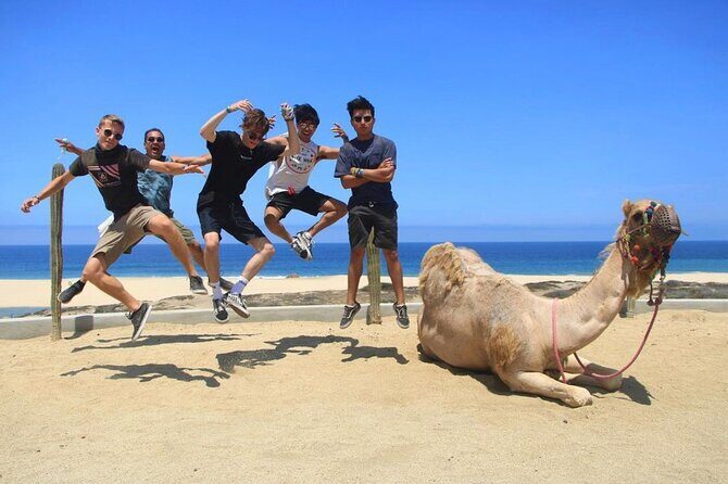 Side by Side and Camel COMBO Adventure - The Sum Up