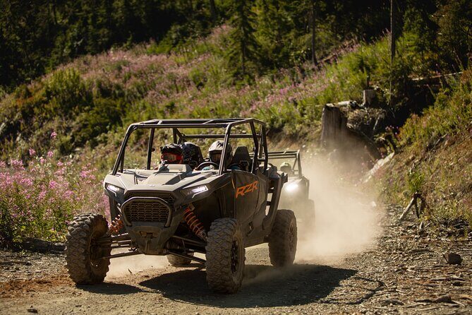 Side-by-Side Off-Roading Adventures on Cougar Mountain - Good To Know  