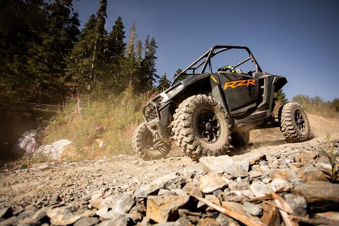 Side-by-Side Off-Roading Adventures on Cougar Mountain - Authentic Experiences and Tips from Reviewers  