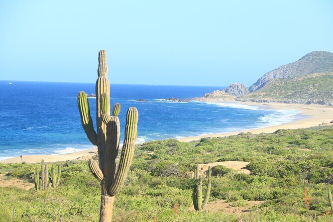 Side by Side Sport Adventure - How to Make the Most of Your Day