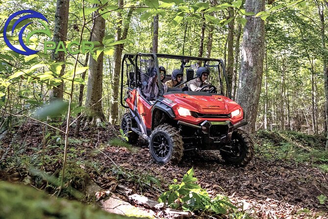 Side-by-Side UTV Off-Road Tour, Arenal Volcano Area  - La Fortuna - Tour Highlights