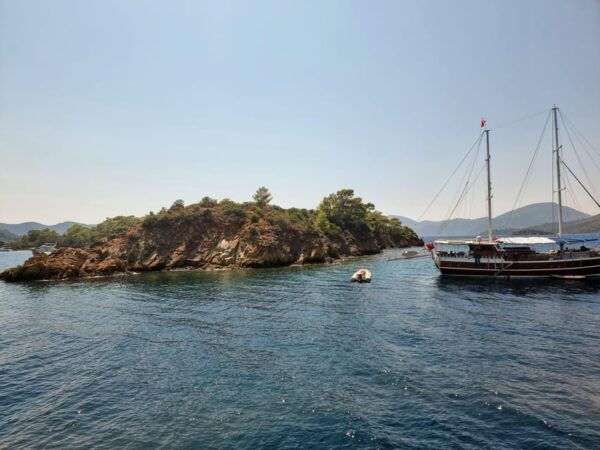 Side: Dolphin Island Boat Tour With BBQ Lunch - Customer Experiences