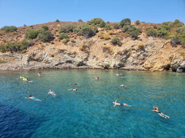 Side: Dolphin Island Boat Tour With BBQ Lunch - Pricing and Inclusions