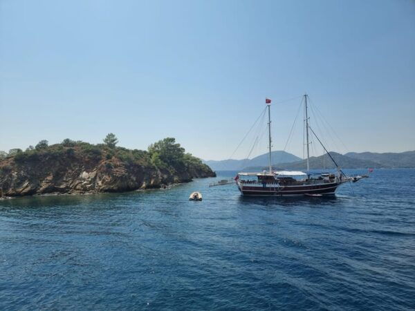Side: Dolphin Island Boat Tour With BBQ Lunch - Frequently Asked Questions