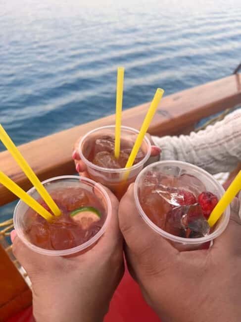 Side Dolphin Island Boat Trip with Lunch & Swim Stops - Good To Know