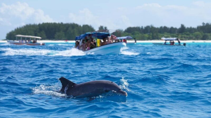 Side Dolphin Island Boat Trip with Lunch & Swim Stops - Setting Sail from Side: What to Expect