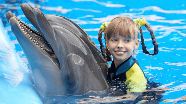 Side: Dolphin Park Transfer Service - Key Points