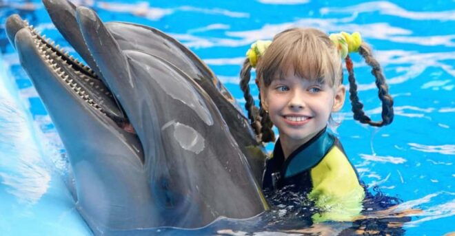Side: Dolphin Park Transfer Service - Transfer Logistics