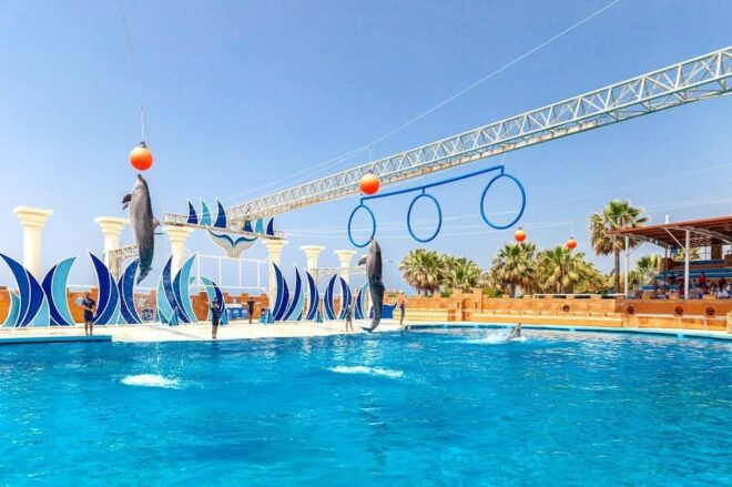 Side: Dolphin Park Transfer Service - Customer Experience