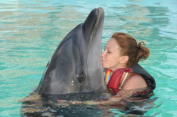 Side: Dolphin Park Transfer Service - Transportation Details