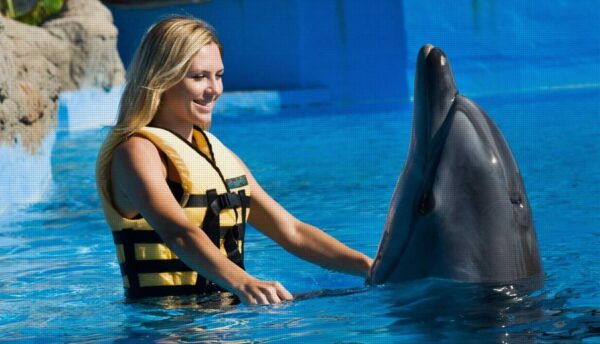 Side: Dolphin Park Transfer Service - Frequently Asked Questions