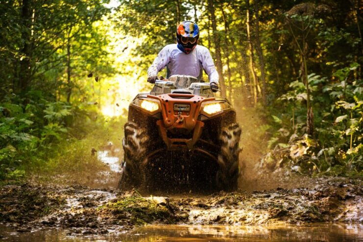 Side: Forest Quad-Bike Tour With Hotel Transfers - Experience Highlights
