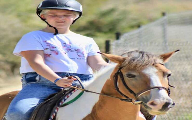 Side: Horse Safari Tour - Pricing and Booking Options