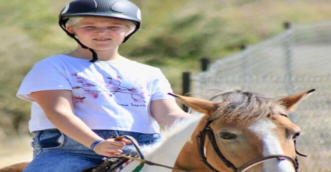 Side: Horse Safari Tour - Experience Highlights