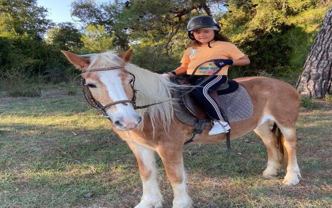 Side: Horse Safari Tour - Whats Included and Excluded