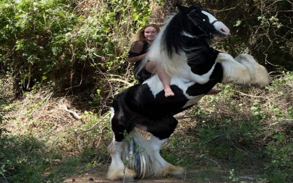 Side: Horse Safari Tour - Pickup Information
