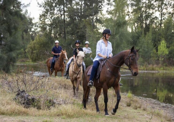 Side: Horseback Riding Experience With Instructor - Experience Highlights and Inclusions