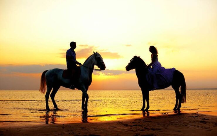 Side: Horseback Riding Tour in Nature With Transfer - Key Points
