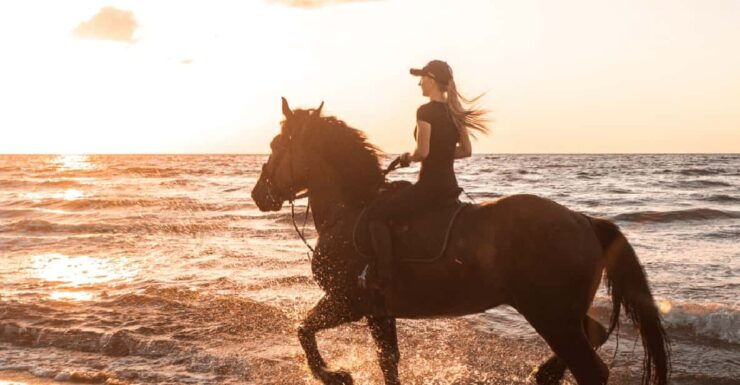 Side: Horseback Riding Tour in Nature With Transfer - Experience Highlights