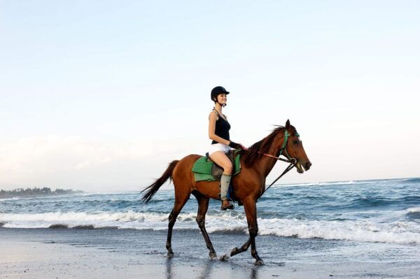 Side: Horseback Riding Tour in Nature With Transfer - Nearby Attractions
