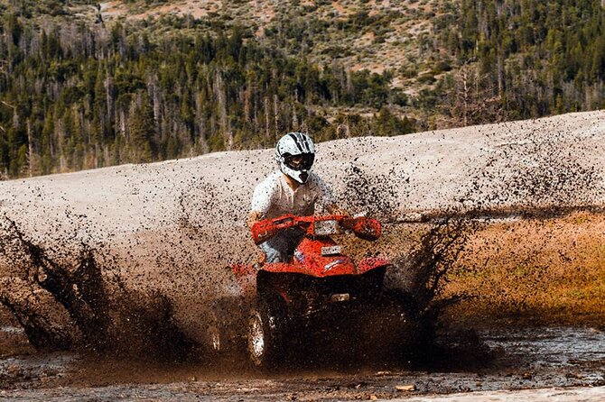 Side Quad Safari Experience (Adventure Tour) W/ Hotel Transfer - Pricing and Packages