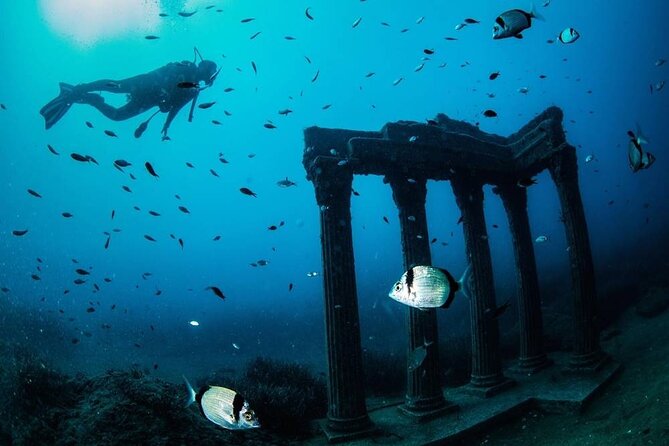 Side Scuba Diving Adventure With Lunch & Roundtrip Transfer - Tour Overview